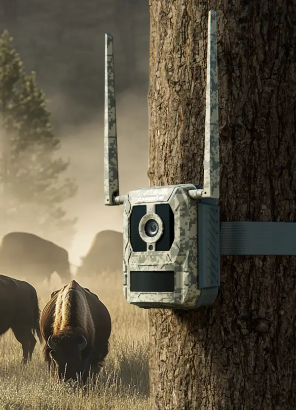 Reolink Talon Pro Camovue 4K 4G batterikamera udendørs camouflage - 3022731