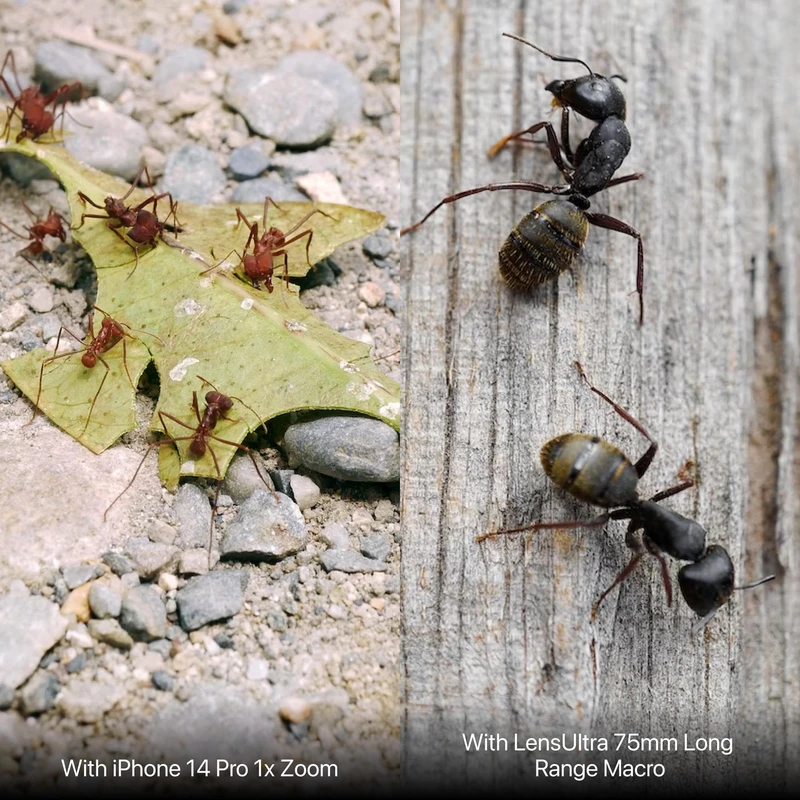 Shiftcam LensUltra 75mm Macro S-Mount kompatibel sort - 2966807