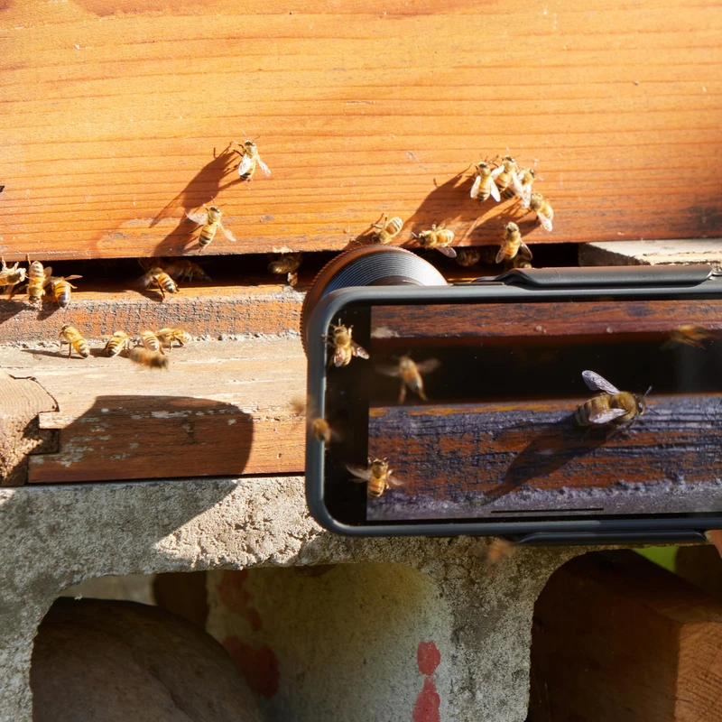 Shiftcam LensUltra 75mm Macro S-Mount kompatibel sort - 2966807